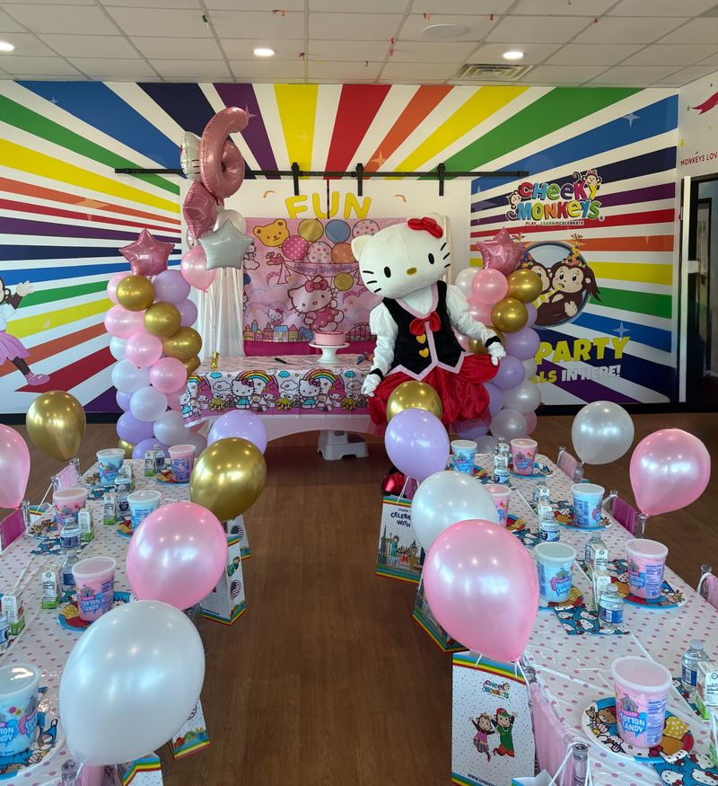Hello Kitty Theme Party